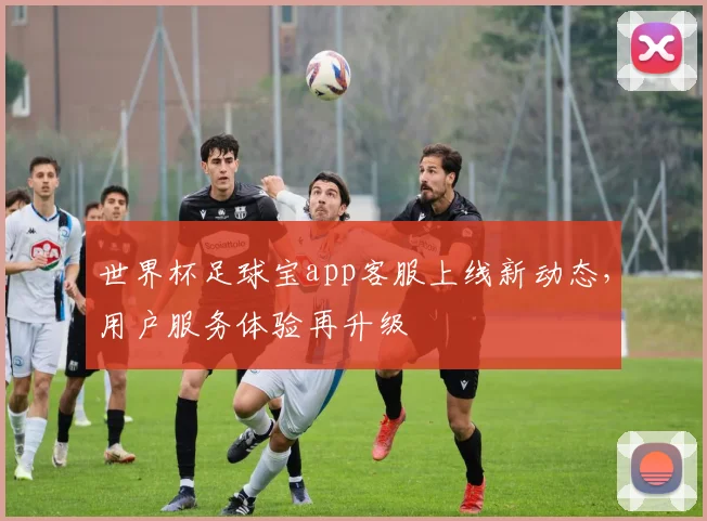世界杯足球宝app客服上线新动态，用户服务体验再升级