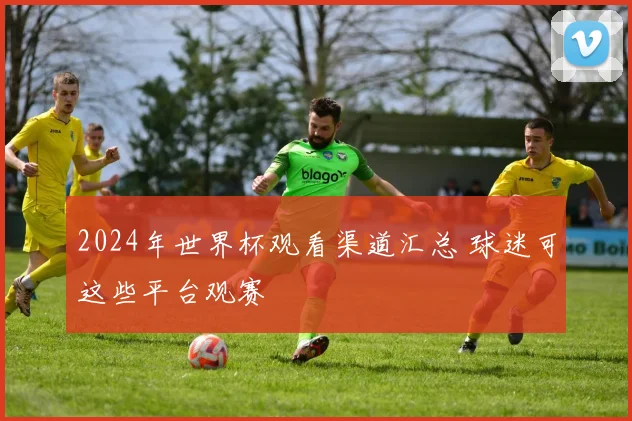 2024年世界杯观看渠道汇总 球迷可这些平台观赛