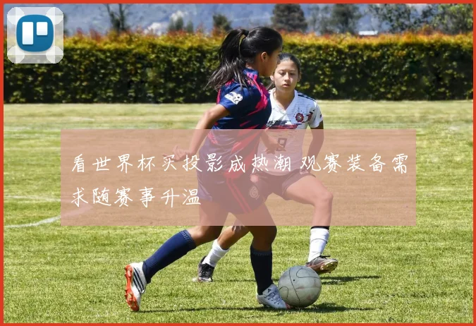 看世界杯买投影成热潮 观赛装备需求随赛事升温