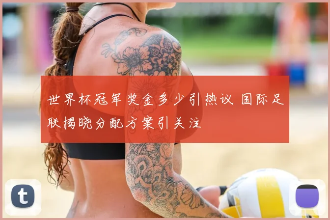 世界杯冠军奖金多少引热议 国际足联揭晓分配方案引关注
