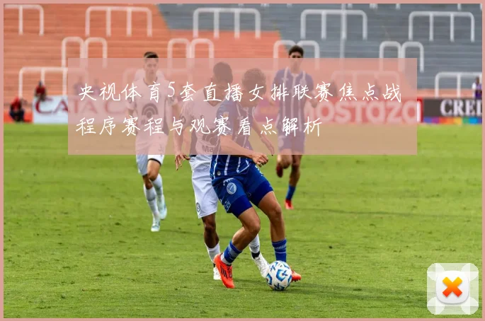 央视体育5套直播女排联赛焦点战 程序赛程与观赛看点解析