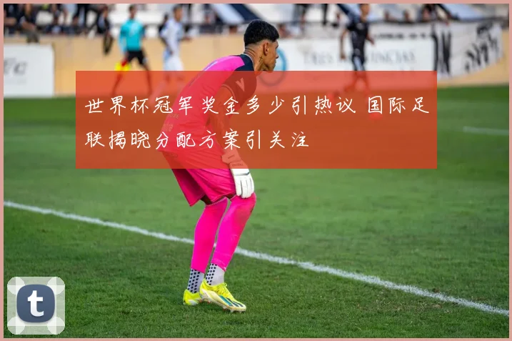 世界杯冠军奖金多少引热议 国际足联揭晓分配方案引关注